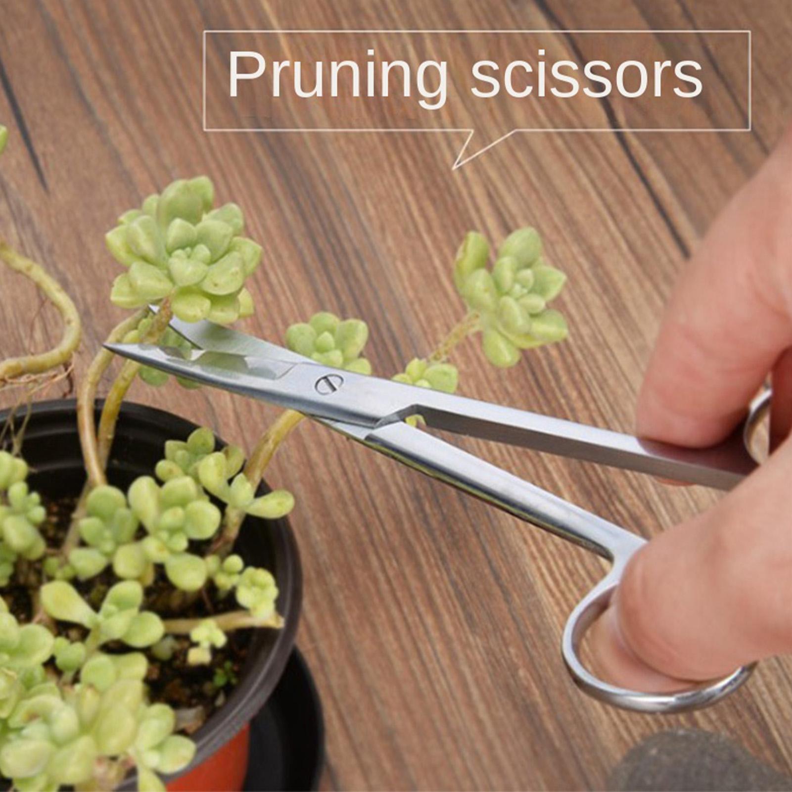 Plant Clippers Stainless Steel - Pruning Shears avaliação e preço