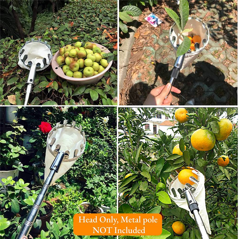 【Flash-Deal!】Fruit Picking Too - Gardening Tools Deals avaliação e preço