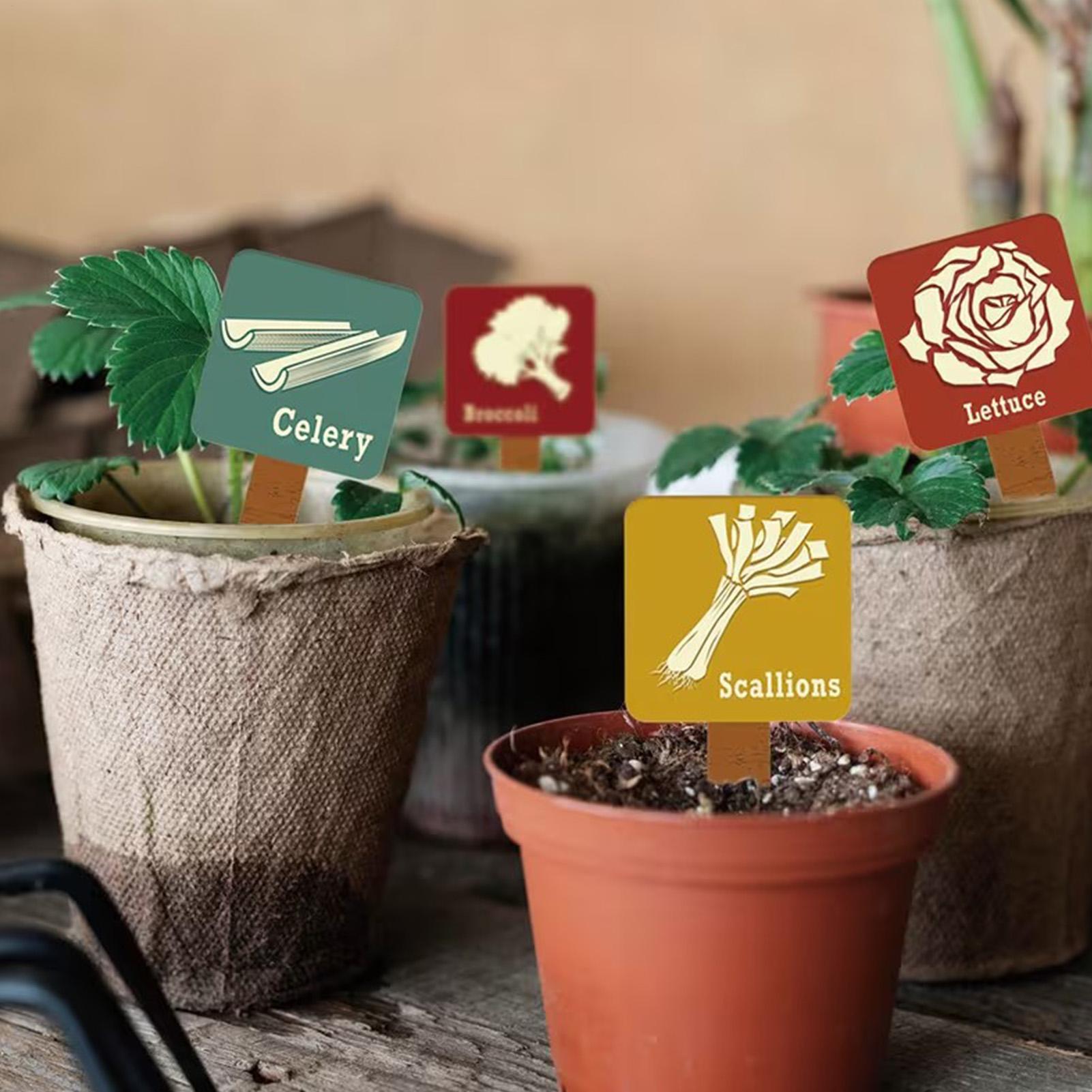 Garden Plant Markers 15 Pieces - Garden Row Marker avaliação e preço