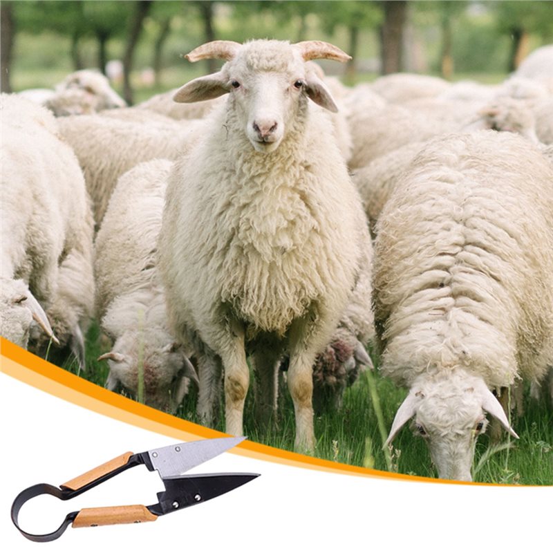 【FLASH DEAL】Heavy Duty 13Inch  - Gardening Tools Deals avaliação e preço