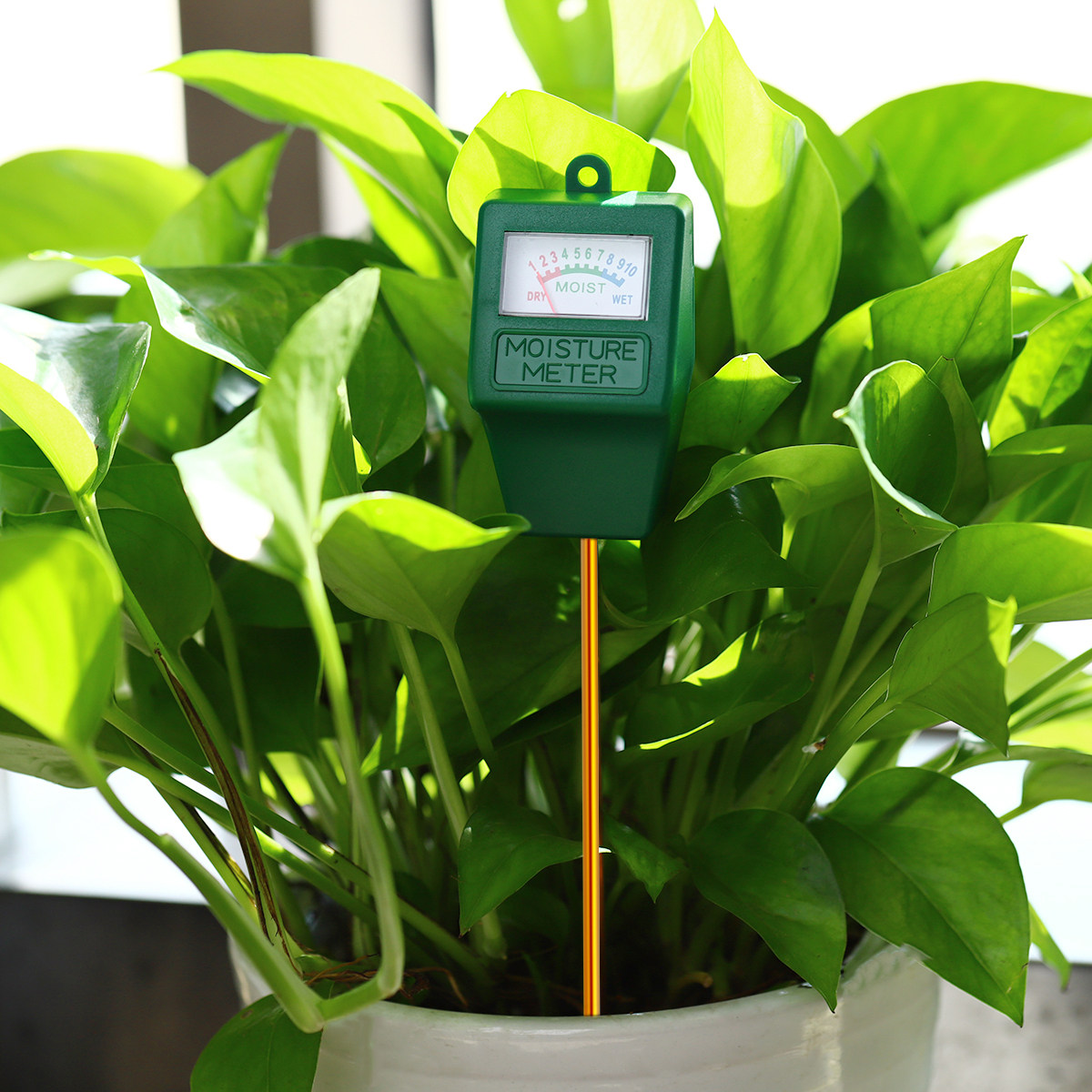 Soil Moisture Meter Precise Mo - Moisture Meter Plant avaliação e preço
