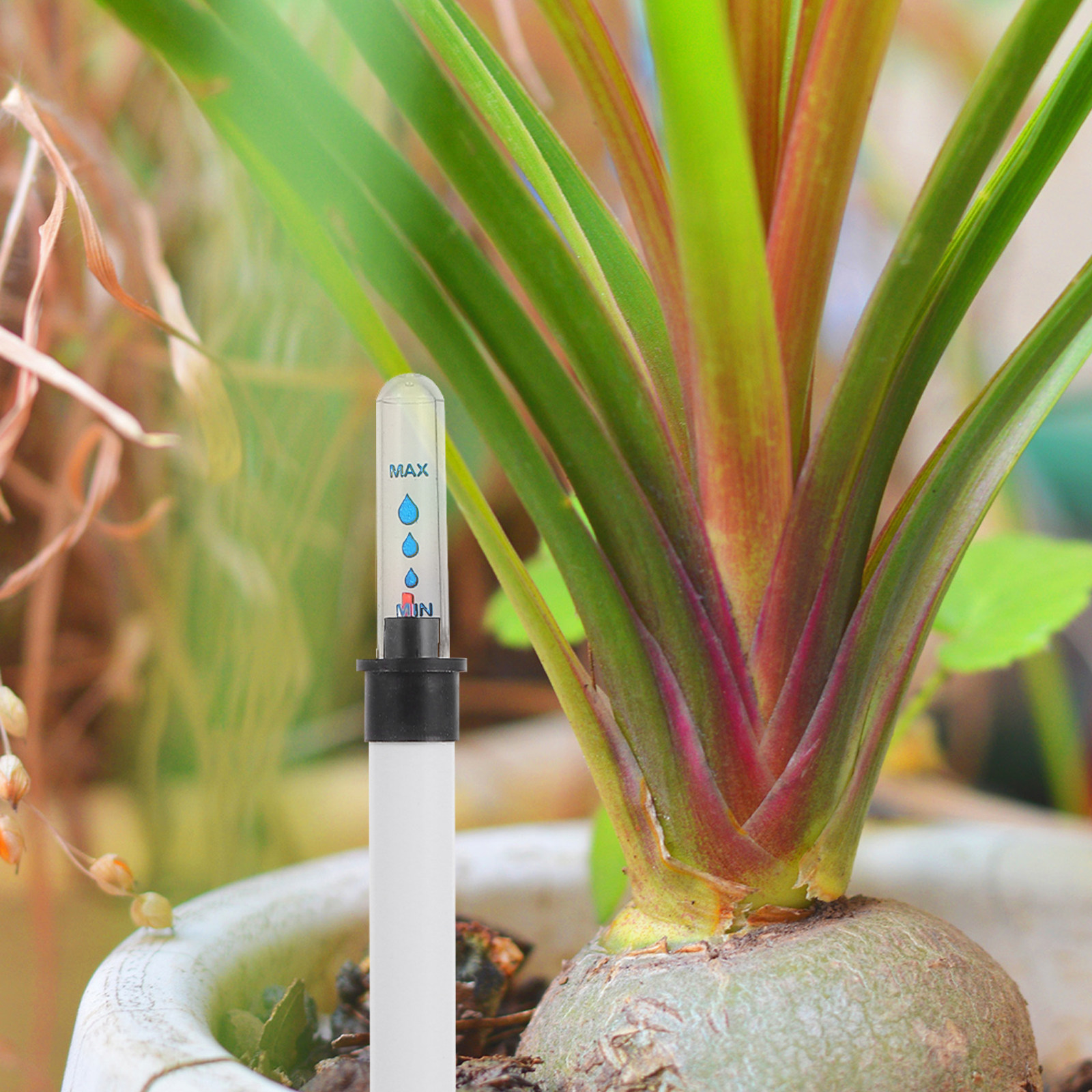 10Pcs Water Level Gauge Meter  - Moisture Meter Plant avaliação e preço
