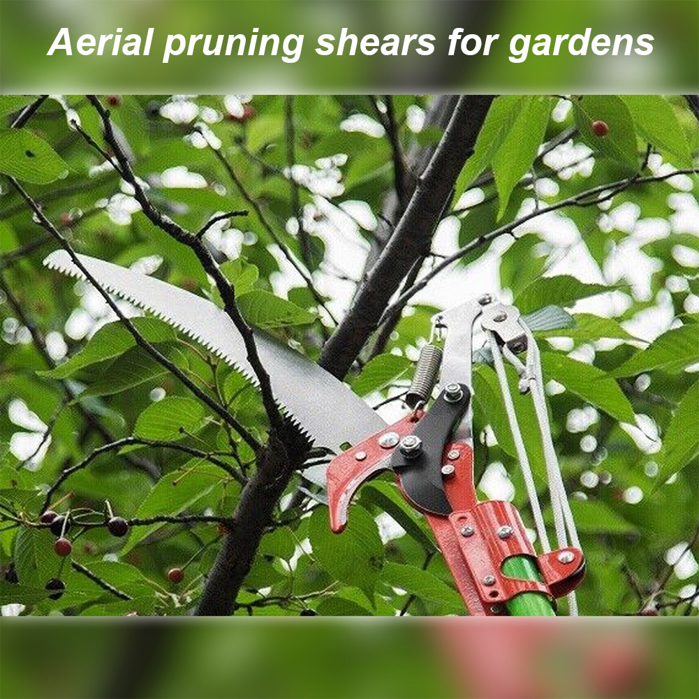 Pruning Shears Labor-Saving Hi - Gardening Tools With Picture avaliação e preço