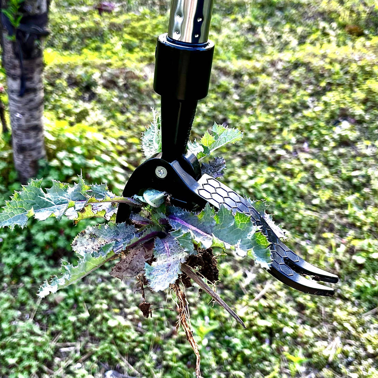 Save Labour Hand Metal Weed Ex - Gardening Tools You Need avaliação e preço