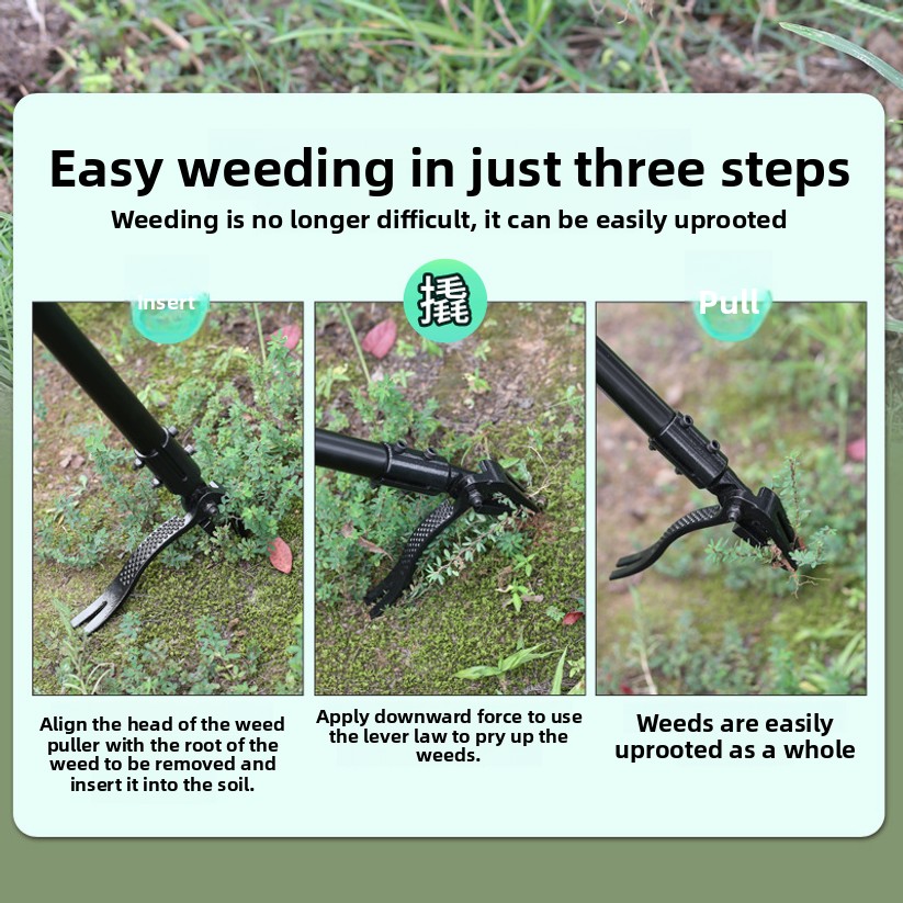 No Need To Bend Over, Standing - Gardening Tools You Need avaliação e preço