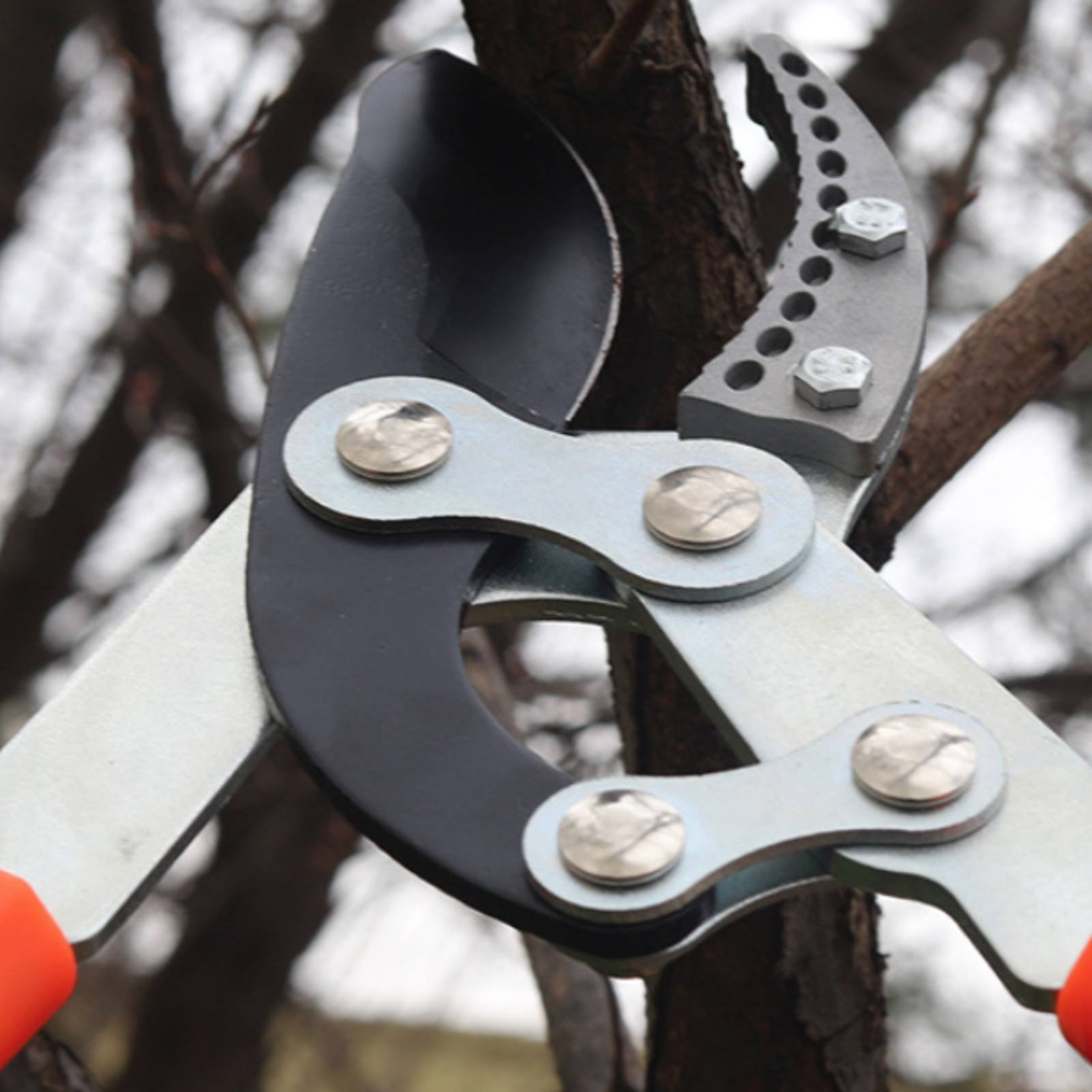 Telescopic Branch Pruners Shar - Pruning Shears avaliação e preço