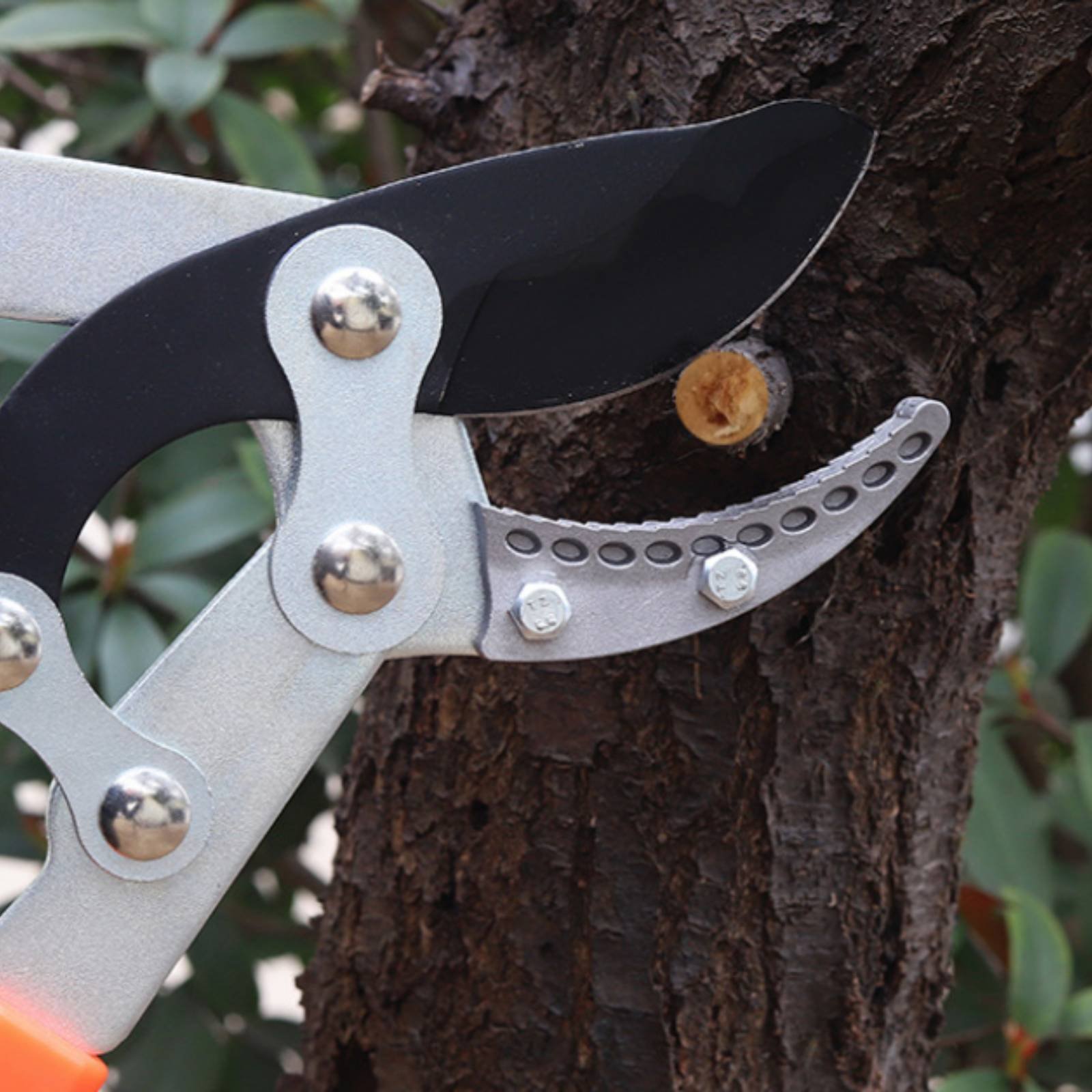 Telescopic Branch Pruners Shar - Pruning Shears avaliação e preço