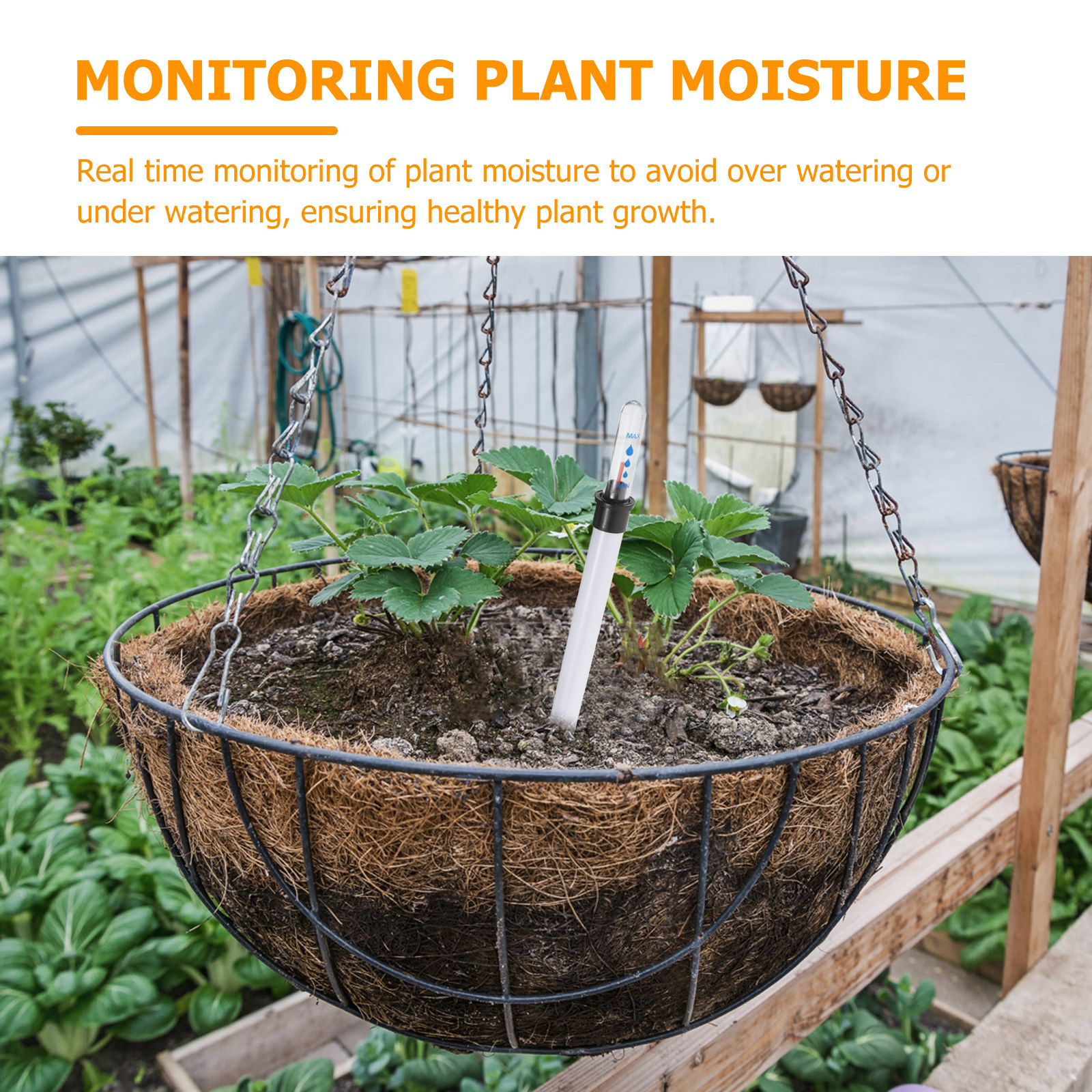 4Pcs Plant Water Level Indicat - Moisture Meter Plant avaliação e preço
